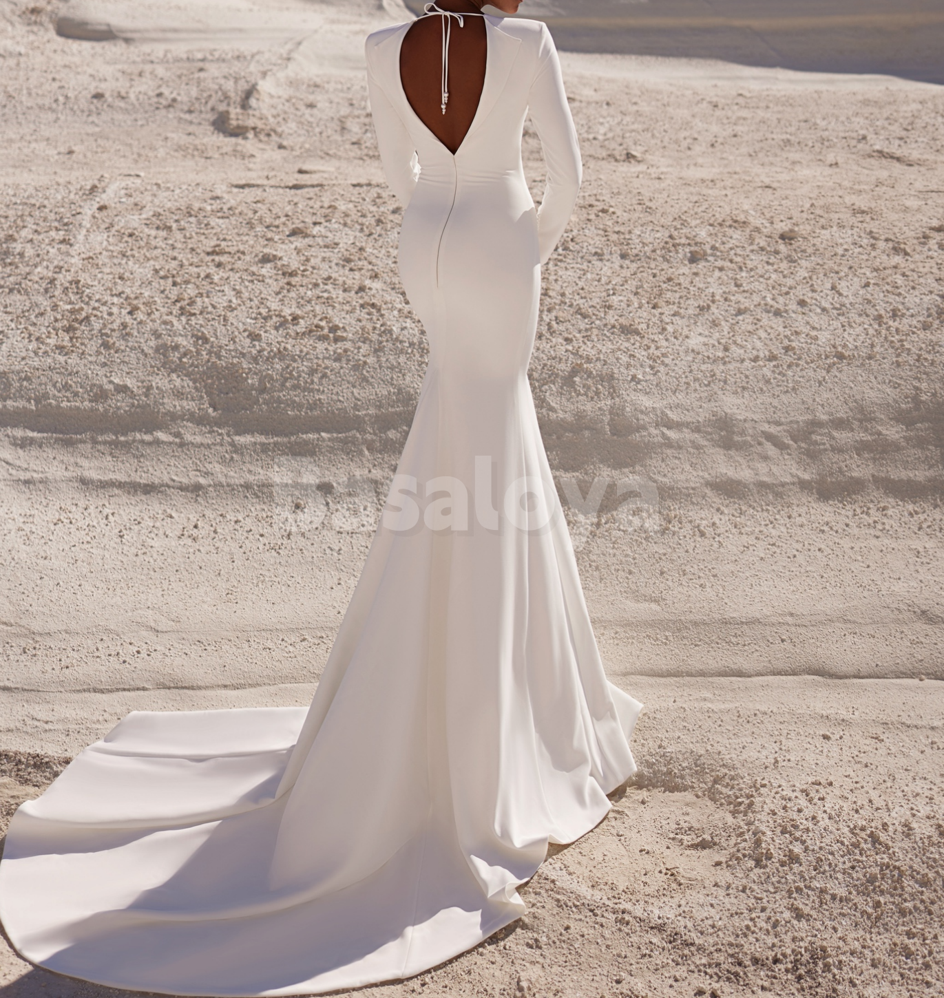 WD0180 Luxury Beaded White Long Sleeve V-Neck Mermaid Bridal Gown with Train